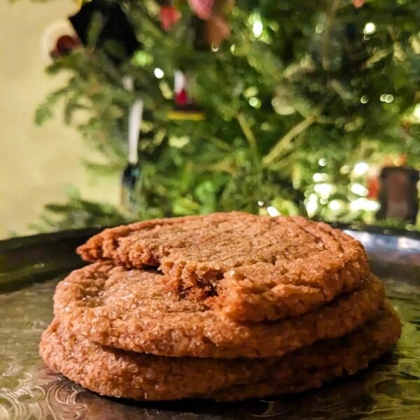 Chocolate Olive Oil Cookie