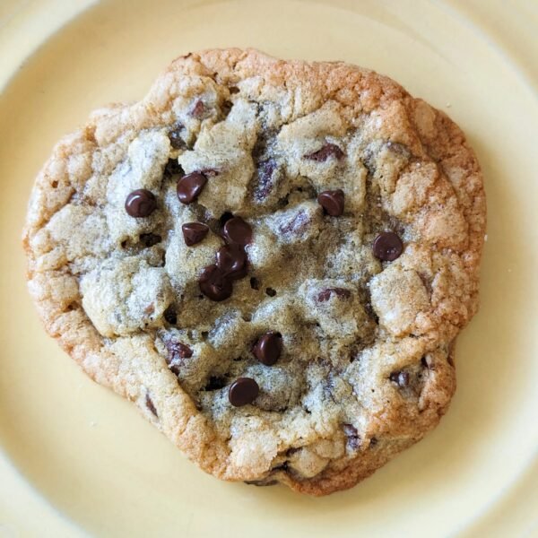 Chocolate Chip Cookie